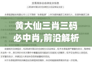 黄大仙三肖三码必中肖,前沿解析说明_免费版17.317