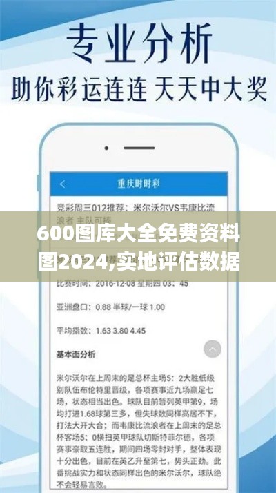 600图库大全免费资料图2024,实地评估数据策略_yShop10.317