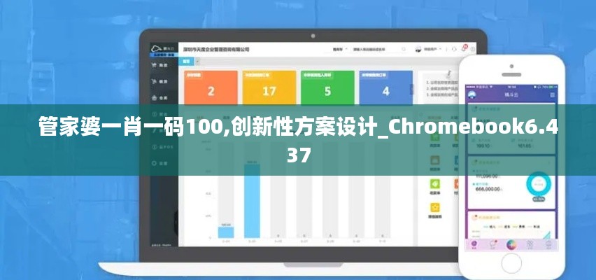 管家婆一肖一码100,创新性方案设计_Chromebook6.437