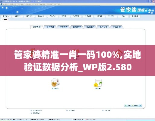 管家婆精准一肖一码100%,实地验证数据分析_WP版2.580