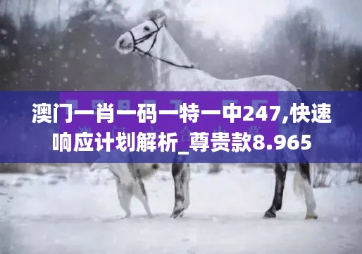 澳门一肖一码一特一中247,快速响应计划解析_尊贵款8.965