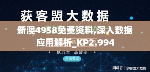 新澳4958免费资料,深入数据应用解析_KP2.994