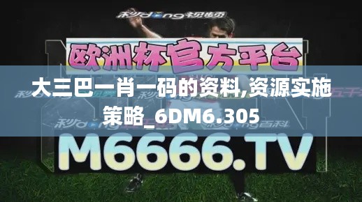 大三巴一肖一码的资料,资源实施策略_6DM6.305