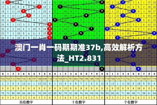 澳门一肖一码期期准37b,高效解析方法_HT2.831