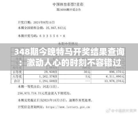 2024年12月13日 第10页