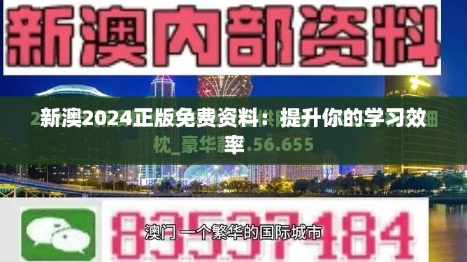 新澳2024正版免费资料：提升你的学习效率