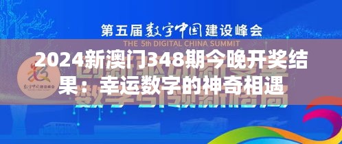 2024新澳门348期今晚开奖结果：幸运数字的神奇相遇