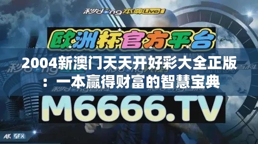 2004新澳门天天开好彩大全正版：一本赢得财富的智慧宝典