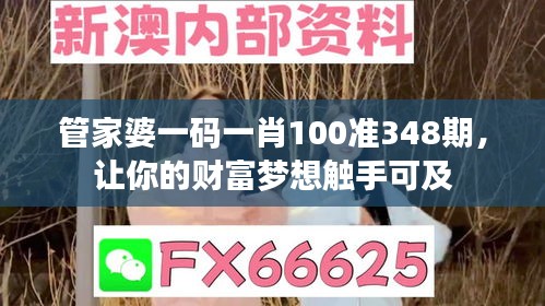 管家婆一码一肖100准348期，让你的财富梦想触手可及