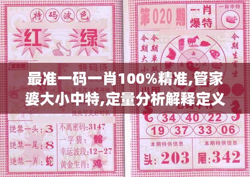 最准一码一肖100%精准,管家婆大小中特,定量分析解释定义_旗舰款4.514