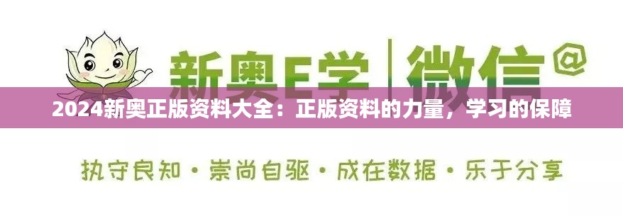 2024新奥正版资料大全：正版资料的力量，学习的保障