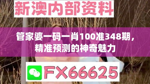 管家婆一码一肖100准348期，精准预测的神奇魅力