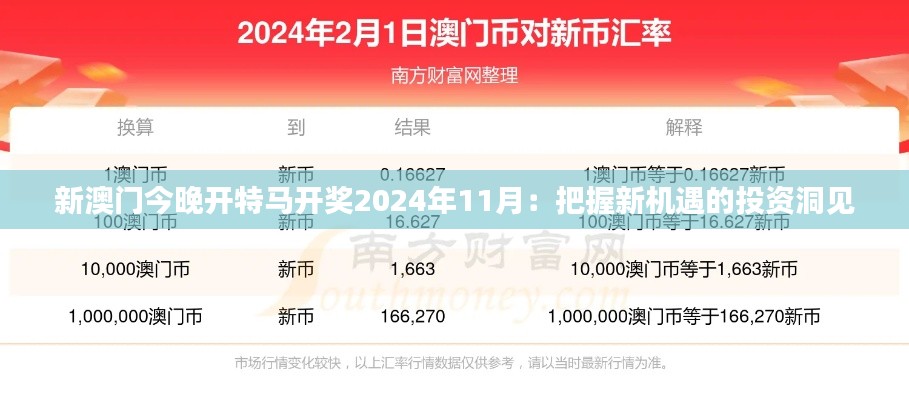 新澳门今晚开特马开奖2024年11月：把握新机遇的投资洞见