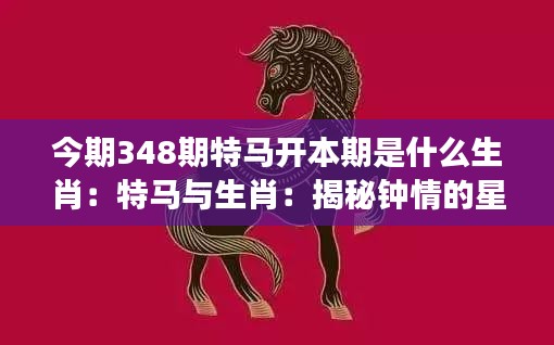 2024年12月14日 第54页