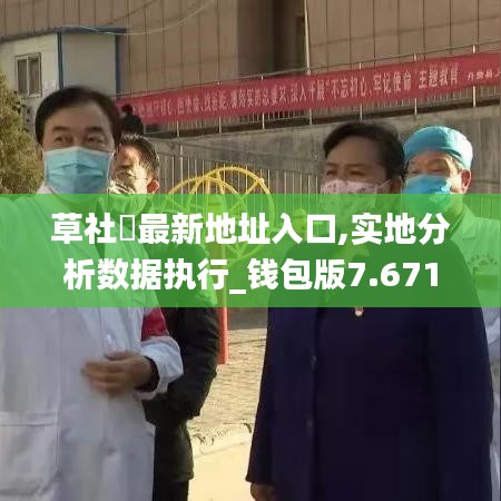 草社區最新地址入口,实地分析数据执行_钱包版7.671