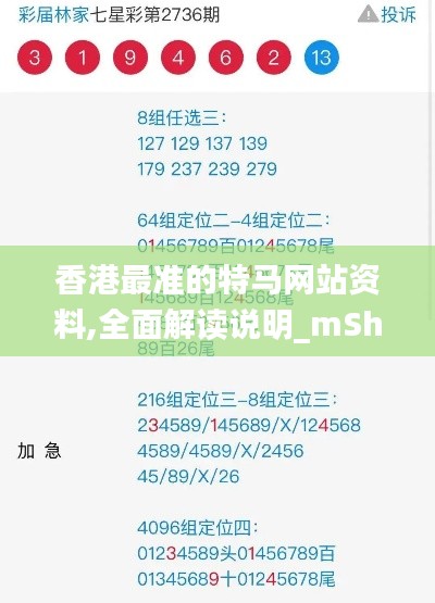 香港最准的特马网站资料,全面解读说明_mShop1.178