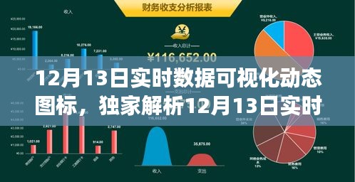 独家解析，揭秘12月13日实时数据可视化动态图标，洞悉数据背后的秘密助力高效决策！