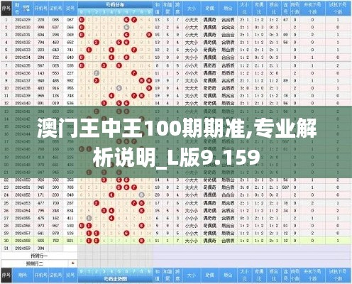 澳门王中王100期期准,专业解析说明_L版9.159