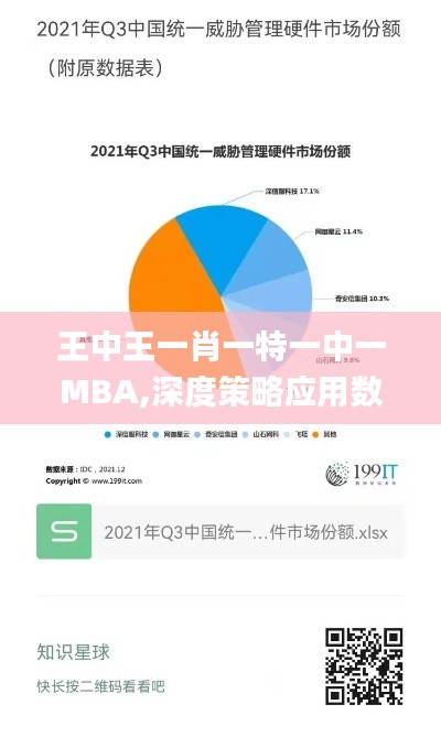 王中王一肖一特一中一MBA,深度策略应用数据_XR12.799