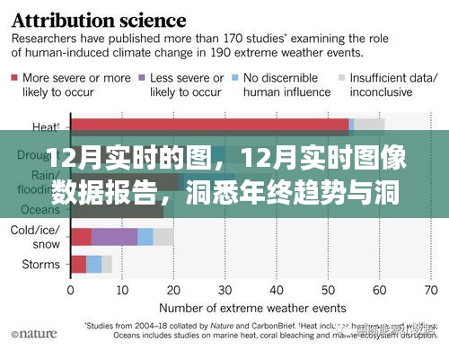 年终趋势洞察与未来展望，揭秘十二月实时图像数据报告