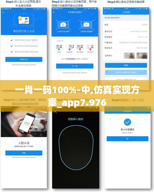 一肖一码100%-中,仿真实现方案_app7.976