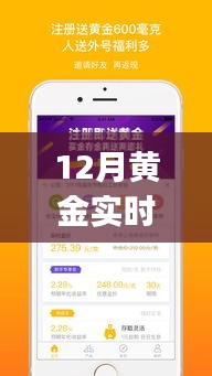 黄金实时监测App引领自信与成就之路，跃入金海，共舞变化的力量