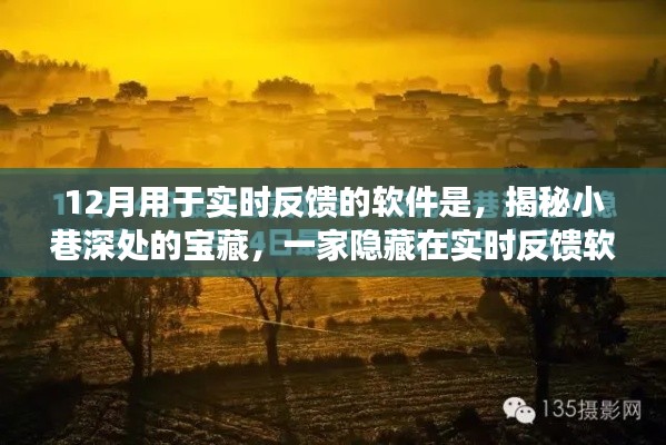 揭秘小巷深处的宝藏，实时反馈软件中的独特小店故事