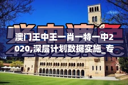 澳门王中王一肖一特一中2020,深层计划数据实施_专属版5.592