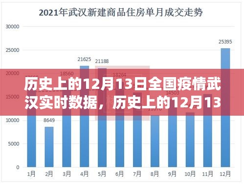 历史上的12月13日武汉疫情实时数据深度解析与评测报告