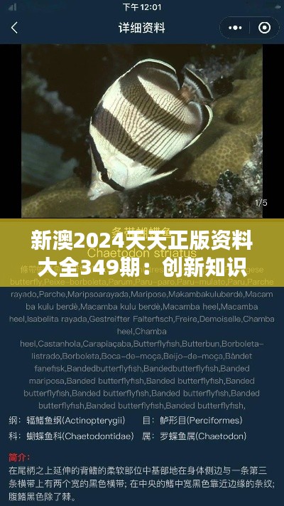 新澳2024天天正版资料大全349期：创新知识库的全面升级