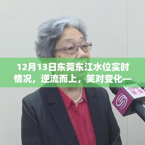 东莞东江水位实时情况观察，逆流而上的启示与自我超越之旅