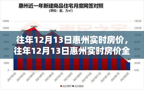 往年12月13日惠州实时房价深度解析，特性、体验、竞品对比与用户群体分析