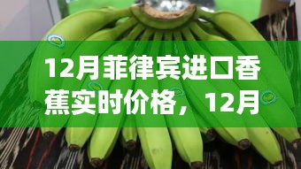 12月菲律宾进口香蕉实时价格分析与市场观点探讨