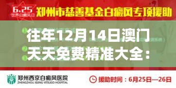 往年12月14日澳门天天免费精准大全：澳门的慈善日，城市的爱心传递