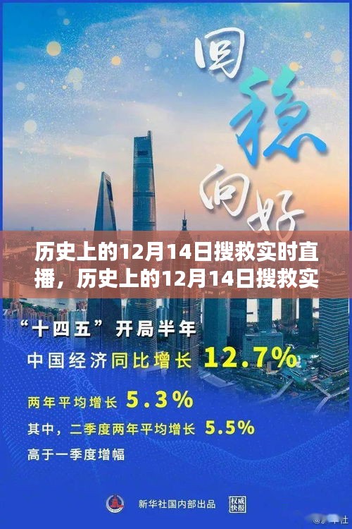 历史上的12月14日搜救实时直播，深度分析与观点阐述