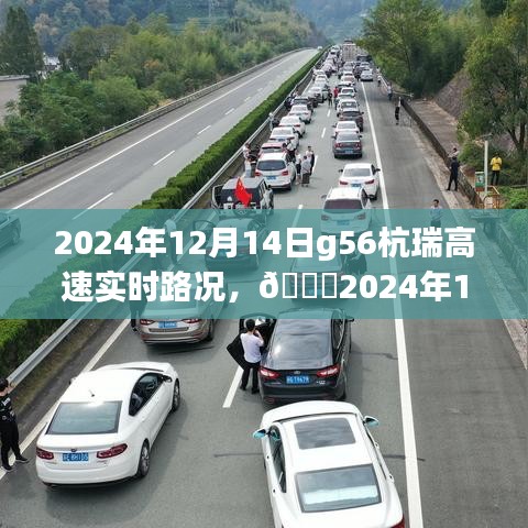 🌟2024年12月14日G56杭瑞高速实时路况详解，出行必备指南！