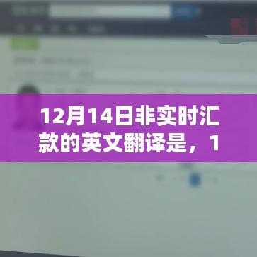 12月14日非实时汇款产品评测与介绍，英文翻译及详细概述