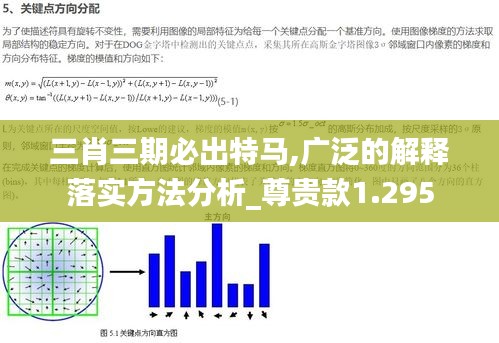 三肖三期必出特马,广泛的解释落实方法分析_尊贵款1.295