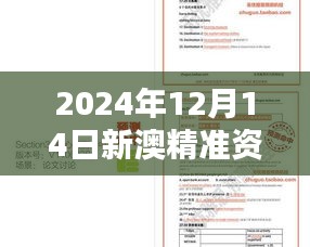 2024年12月14日新澳精准资料免费提供：提高学术界的研究底气