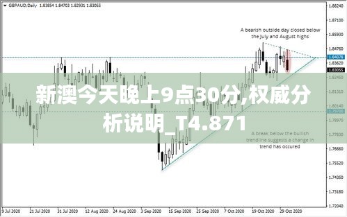 新澳今天晚上9点30分,权威分析说明_T4.871