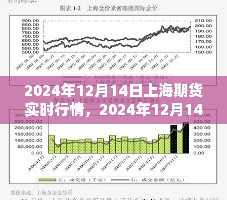 2024年12月14日上海期货实时行情分析，投资机遇与挑战并存