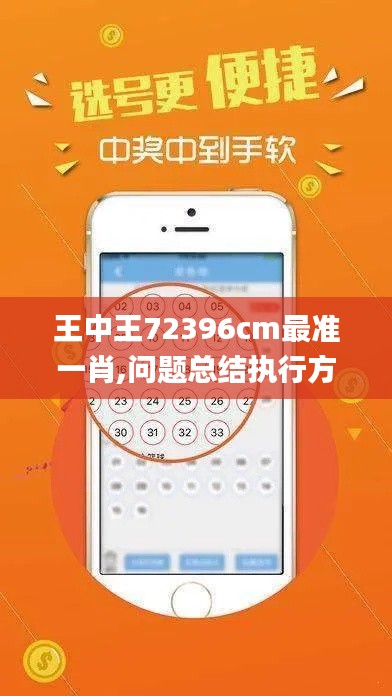 王中王72396cm最准一肖,问题总结执行方案_bundle6.446