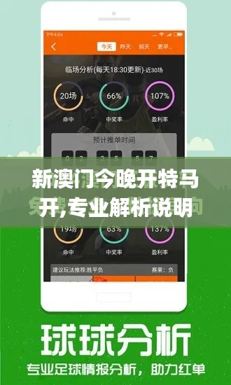 新澳门今晚开特马开,专业解析说明_经典版4.781