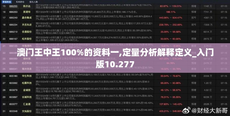 澳门王中王100%的资料一,定量分析解释定义_入门版10.277