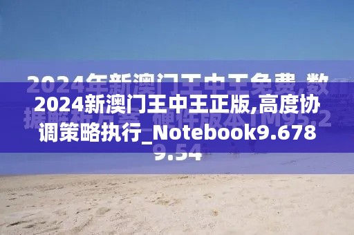 2024新澳门王中王正版,高度协调策略执行_Notebook9.678