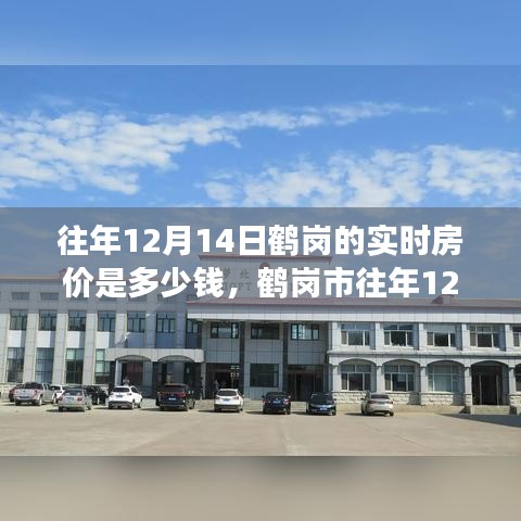 鹤岗市往年12月14日实时房价深度解析，特性、体验、竞品对比与用户洞察，房价究竟如何？