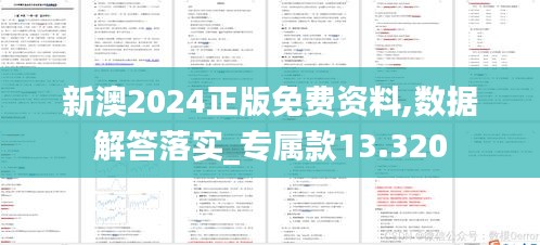 新澳2024正版免费资料,数据解答落实_专属款13.320