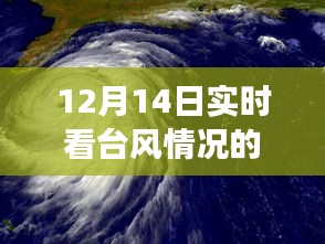 权威推荐，台风观测网站实时更新，掌握风云变幻尽在掌握——12月14日台风动态总览