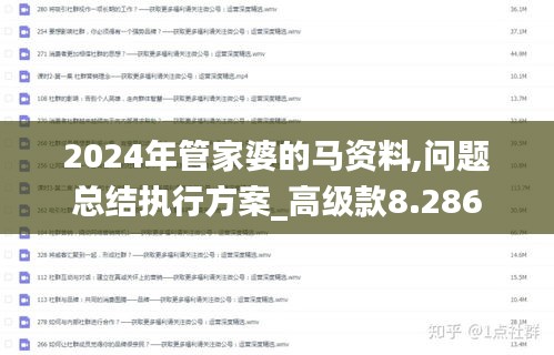 2024年管家婆的马资料,问题总结执行方案_高级款8.286