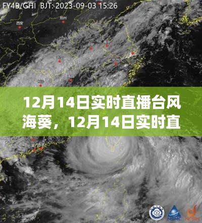 台风海葵深度解读与现场直击，12月14日实时直播